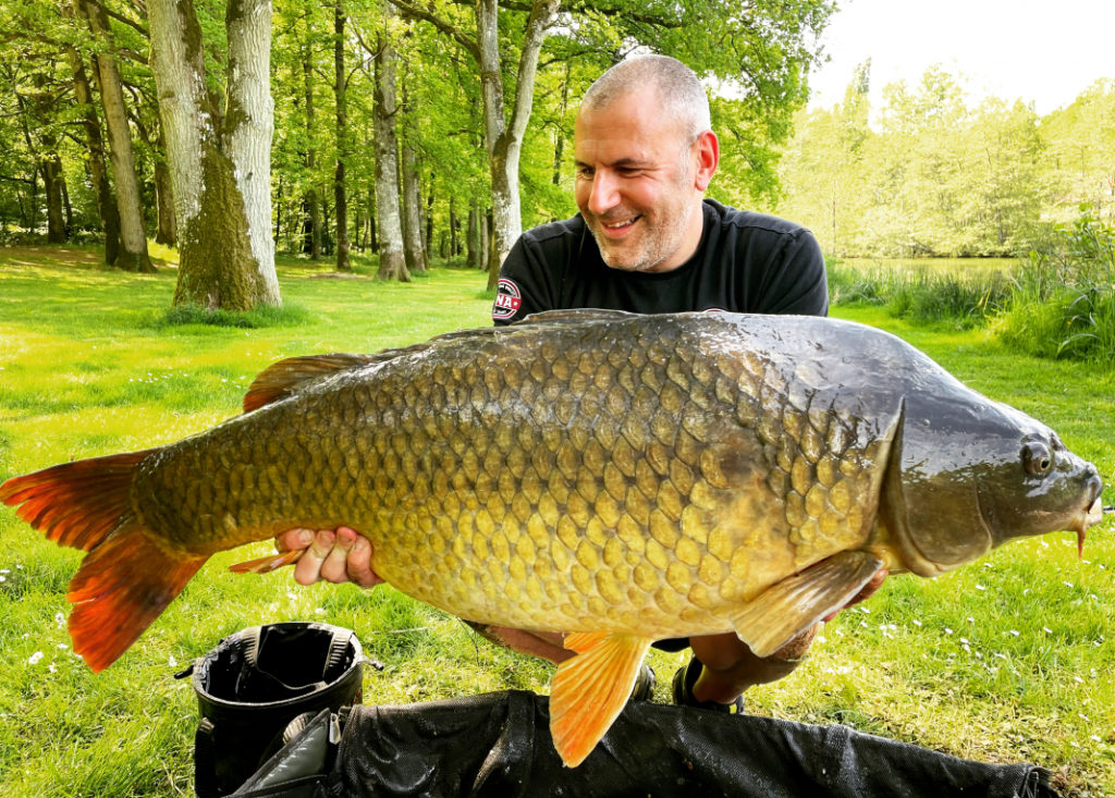 A large common carp from Cailleaux lake